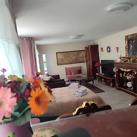 Gite Luxury***** avec Bar à Soultzeren Esterno foto