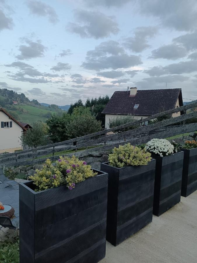 Gite Luxury***** avec Bar à Soultzeren Esterno foto
